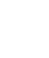 PepsiCo logo